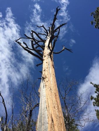 Indian Vista Scenic Overlook